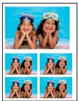 ADOBE PHOTOSHOP ELEMENTS 6 - Présentation de l'impression - 3