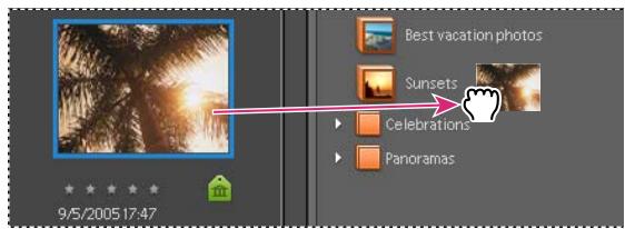ADOBE PHOTOSHOP ELEMENTS 6 - Ajout d'une photo à un album - 1