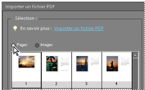 ADOBE PHOTOSHOP ELEMENTS 6 - Ouverture d'un fichier PDF - 1
