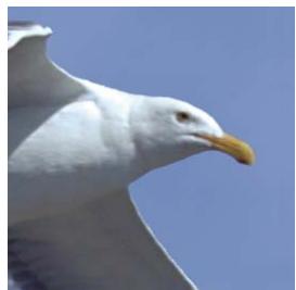 ADOBE PHOTOSHOP ELEMENTS 6 - A propos du format JPEG - 1