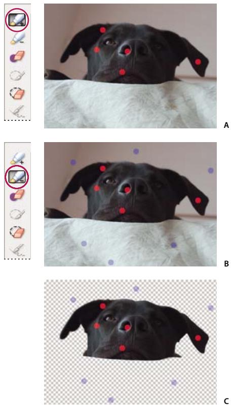 ADOBE PHOTOSHOP ELEMENTS 6 - Utilisation de la fonction Extraction magique - 1