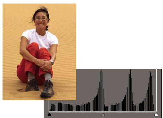 ADOBE PHOTOSHOP ELEMENTS 6 - Réglage des tons fonçés et de la luminosité à l'aide des niveaux - 2