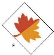 ADOBE PHOTOSHOP ELEMENTS 6 - Application d'une rotation ou d'une symétrie à un élément - 6