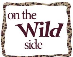 ADOBE PHOTOSHOP ELEMENTS 6 - Déformation de texte - 2