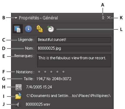 ADOBE PHOTOSHOP ELEMENTS 6 - Affichage ou modification des informations sur les fichiers dans l'Organiseur - 1