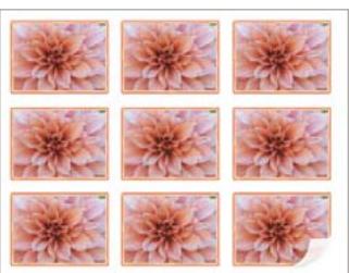 ADOBE PHOTOSHOP ELEMENTS 6 - Impression d'étiquettes - 1