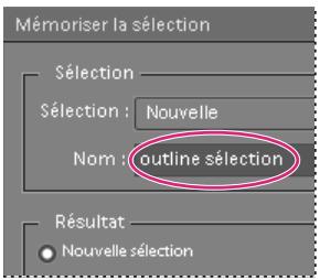 ADOBE PHOTOSHOP ELEMENTS 6 - Mémorisation, récupération ou suppression d'une seLECTION - 2