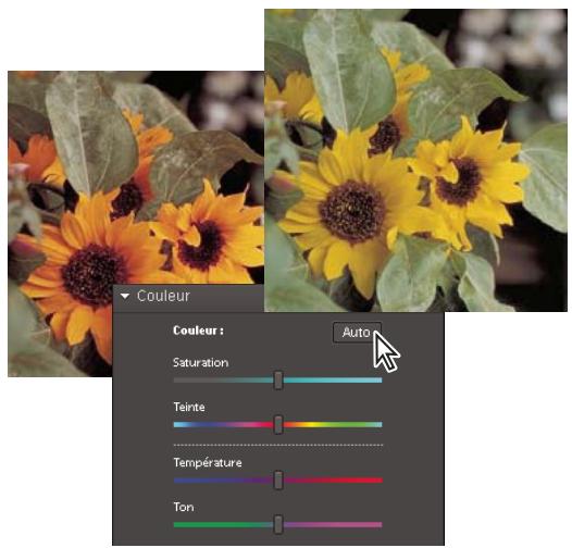 ADOBE PHOTOSHOP ELEMENTS 6 - Correction chromatique en mode Retouche rapide - 2
