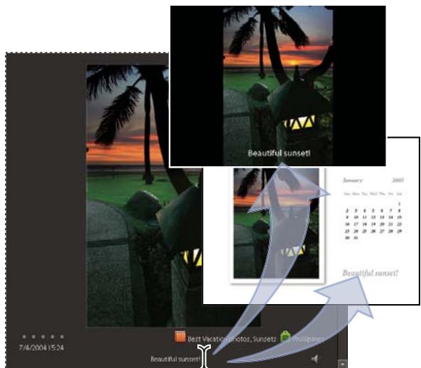 ADOBE PHOTOSHOP ELEMENTS 6 - Ajout de légendes aux fichiers - 1