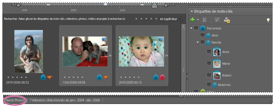 ADOBE PHOTOSHOP ELEMENTS 6 - A propos des catalogues - 2