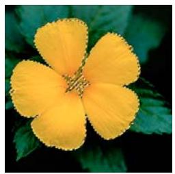 ADOBE PHOTOSHOP ELEMENTS 6 - Mémorisation, récupération ou suppression d'une seLECTION - 1