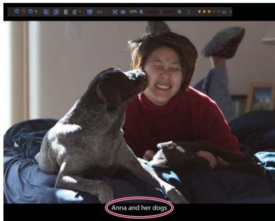 ADOBE PHOTOSHOP ELEMENTS 6 - Affichage des photos en plein écran ou côte à côte - 1