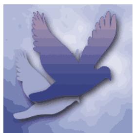 ADOBE PHOTOSHOP ELEMENTS 6 - A propos du tramage - 1