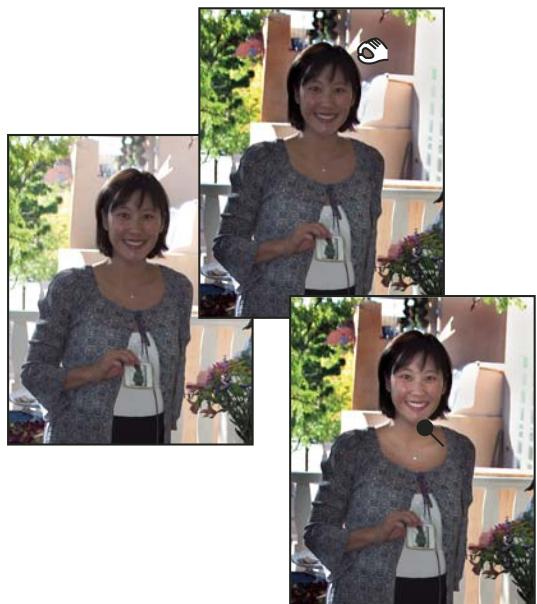 ADOBE PHOTOSHOP ELEMENTS 6 - Eclaircissement ou obscuration rapide de zones isolées - 1