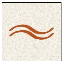 ADOBE PHOTOSHOP ELEMENTS 6 - A propos des options de forme - 10