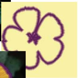 ADOBE PHOTOSHOP ELEMENTS 6 - Encadrement d'une seLECTION existante par un nouveau cadre de selection - 3