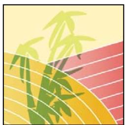 ADOBE PHOTOSHOP ELEMENTS 6 - A propos des options d'opacité et de fusion des calques - 3