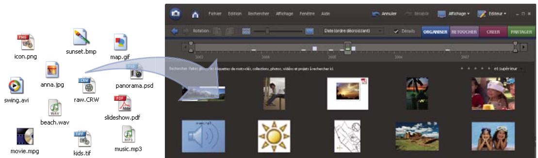 ADOBE PHOTOSHOP ELEMENTS 6 - A propos des catalogues - 1