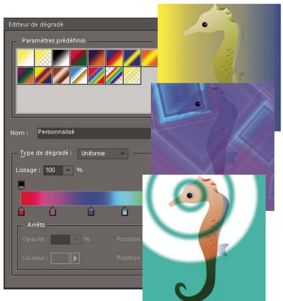 ADOBE PHOTOSHOP ELEMENTS 6 - A propos des dégradés - 1