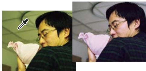 ADOBE PHOTOSHOP ELEMENTS 6 - Suppression automatique d'une dominante couleur - 1