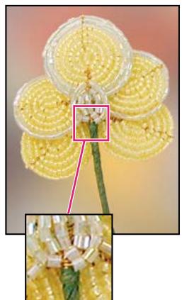 ADOBE PHOTOSHOP ELEMENTS 6 - A propos de la taille et de la résolution d'image - 2