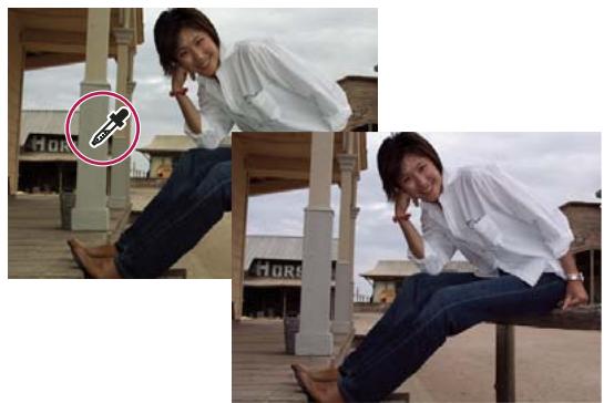 ADOBE PHOTOSHOP ELEMENTS 6 - Commandes de la balance des blancs pour les fichiers Camera Raw - 2