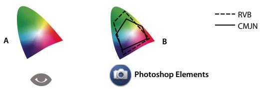 ADOBE PHOTOSHOP ELEMENTS 6 - A propos de la gestion des couleurs - 1