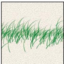 ADOBE PHOTOSHOP ELEMENTS 6 - A propos des options de forme - 9