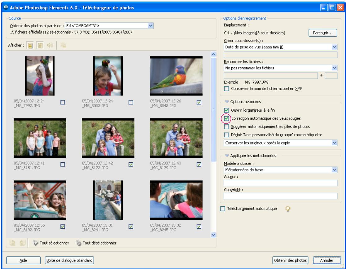 ADOBE PHOTOSHOP ELEMENTS 6 - Importation et organisation des photos - 1