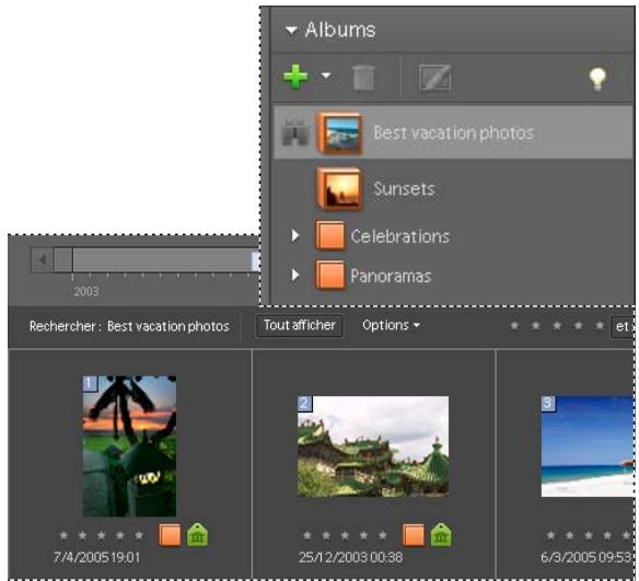 ADOBE PHOTOSHOP ELEMENTS 6 - Affichage des photos d'un album - 1