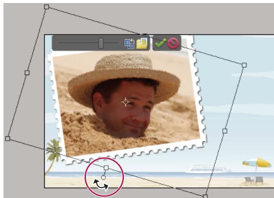 ADOBE PHOTOSHOP ELEMENTS 6 - Rotation de photos dans un projet photo - 1