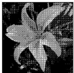 ADOBE PHOTOSHOP ELEMENTS 6 - Conversion d'une image en mode Bitmap - 3