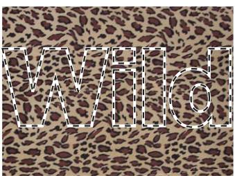 ADOBE PHOTOSHOP ELEMENTS 6 - Création et utilisation d'un texte masqué - 1