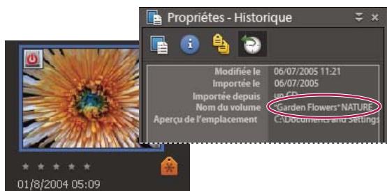 ADOBE PHOTOSHOP ELEMENTS 6 - Importation de photos à partir d'un CD ou d'un DVD - 1