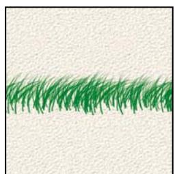 ADOBE PHOTOSHOP ELEMENTS 6 - A propos des options de forme - 8