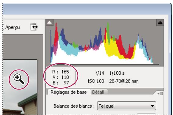 ADOBE PHOTOSHOP ELEMENTS 6 - Utilisation de l'histogramme et des valeurs RVB dans les fichiers Camera Raw - 1