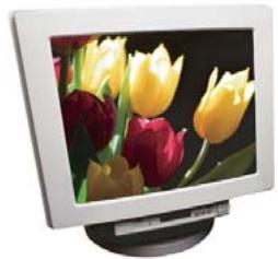 ADOBE PHOTOSHOP ELEMENTS 6 - A propos des modes de couleur des images - 4