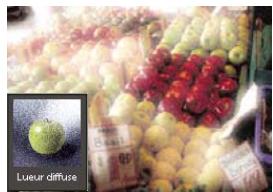 ADOBE PHOTOSHOP ELEMENTS 6 - A propos des filtres - 2