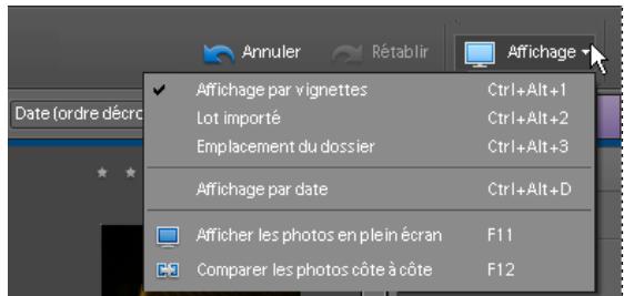 ADOBE PHOTOSHOP ELEMENTS 6 - Sélection d'un mode d'affichage du Navigateur de photos - 1