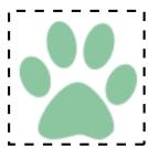 ADOBE PHOTOSHOP ELEMENTS 6 - A propos des motifs - 1