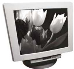 ADOBE PHOTOSHOP ELEMENTS 6 - A propos des modes de couleur des images - 2