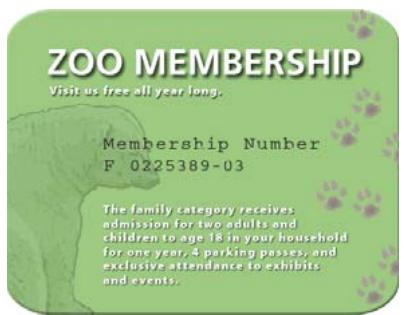 ADOBE PHOTOSHOP ELEMENTS 6 - A propos du texte - 1