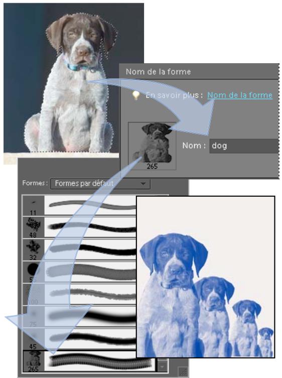 ADOBE PHOTOSHOP ELEMENTS 6 - Creation d'une forme personalisée à partir d'une image - 1