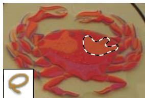 ADOBE PHOTOSHOP ELEMENTS 6 - A propos des outils de seLECTION - 3