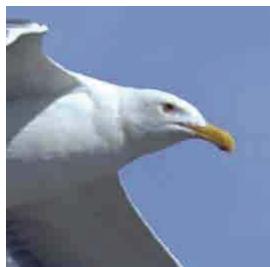 ADOBE PHOTOSHOP ELEMENTS 6 - A propos du format JPEG - 2