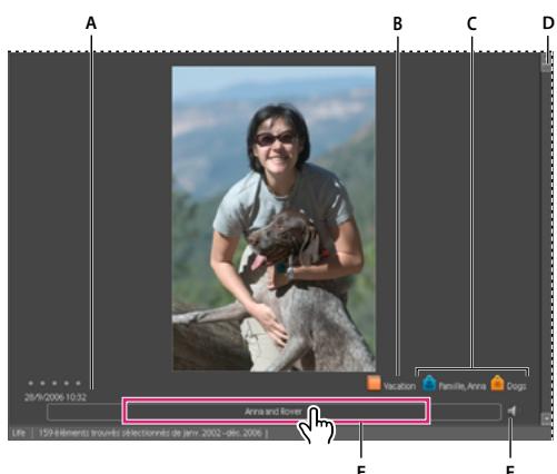 ADOBE PHOTOSHOP ELEMENTS 6 - Modification des détails des photos - 1