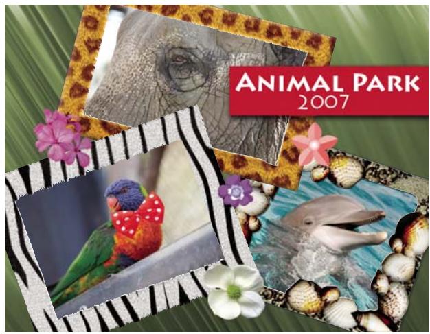 ADOBE PHOTOSHOP ELEMENTS 6 - Création et partage de projets photo - 2