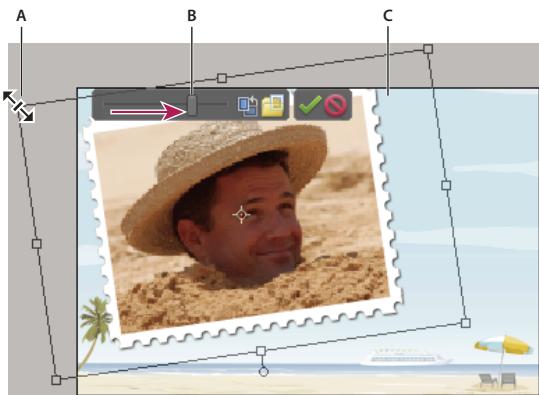 ADOBE PHOTOSHOP ELEMENTS 6 - Repositionnement ou redimensionnement de photos dans un projet photo - 1