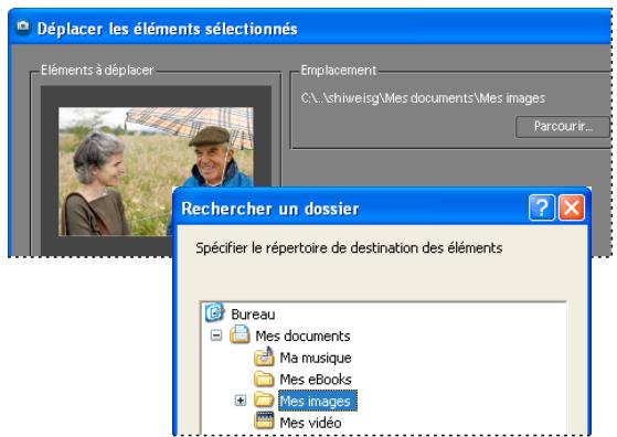 ADOBE PHOTOSHOP ELEMENTS 6 - Déplacement de fichiers dans un catalogue - 1