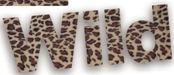 ADOBE PHOTOSHOP ELEMENTS 6 - Création et utilisation d'un texte masqué - 2